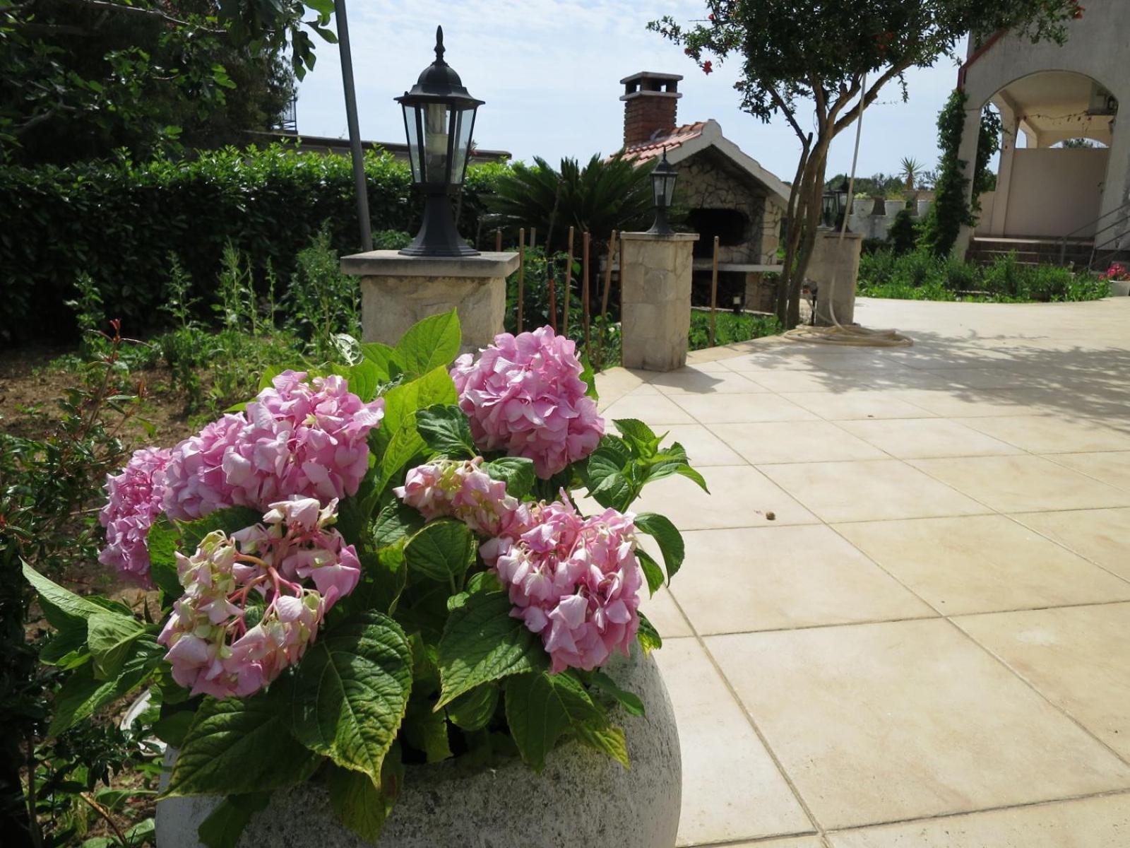 Milica Apartment Rogoznica (Sibenik-Knin)